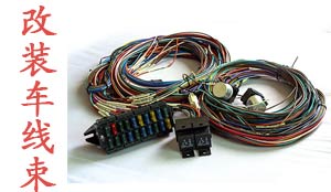 Modified car Wiring Harness