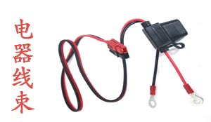 Electrical Wiring Harness