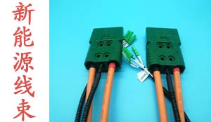 New energy Wiring Harness
