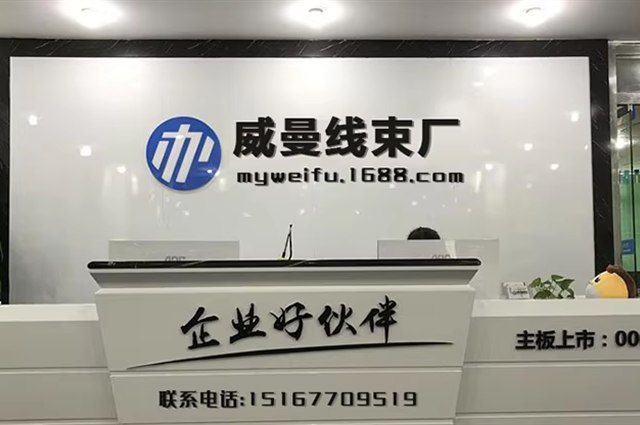 Wenzhou Weiman Automotive Wiring Harness Co., Ltd.home