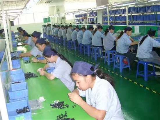 Wiring HarnessWorkshop07